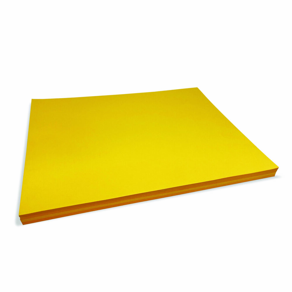 Cleanroom Sheet Protectors for 8.5 x 11 Paper